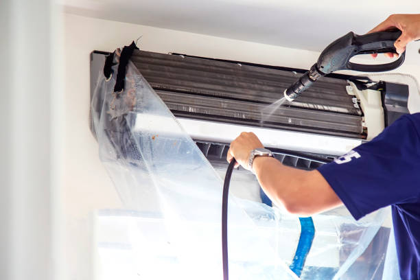 Best Home Air Vent Cleaning  in Fanning Springs, FL