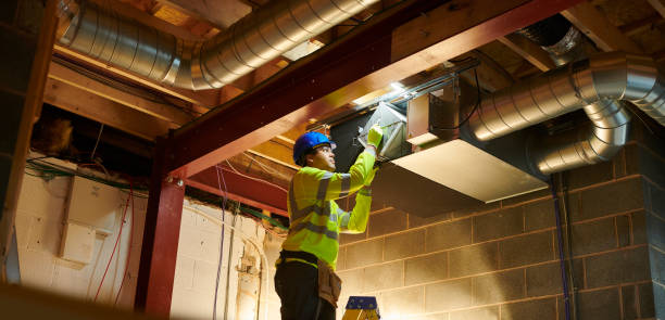 Air Duct Mold Removal in Fanning Springs, FL