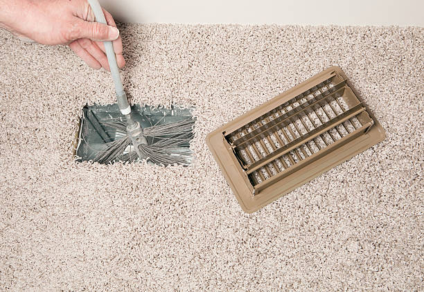 Best Air Duct Mold Removal  in Fanning Springs, FL