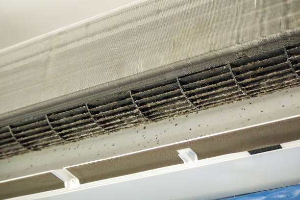 Best Emergency Air Duct Cleaning  in Fanning Springs, FL